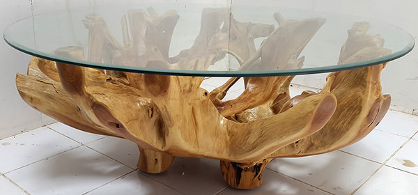 round teak root table