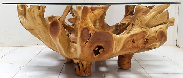 round teak root table with glass top and natural finish
