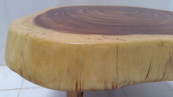 suar wood from Indonesia