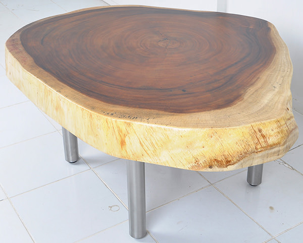 natural shaped suar coffee table with stainless steel legs