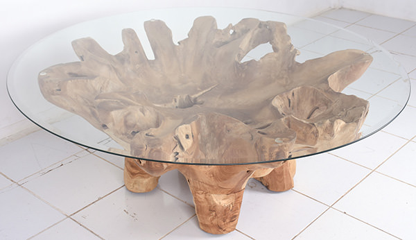 natural root coffee table with bevelled glass top