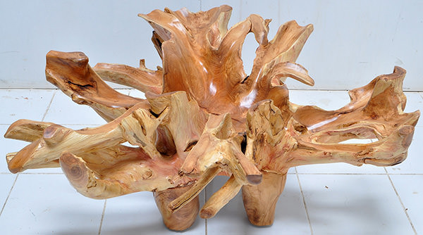 teak root wood coffee table