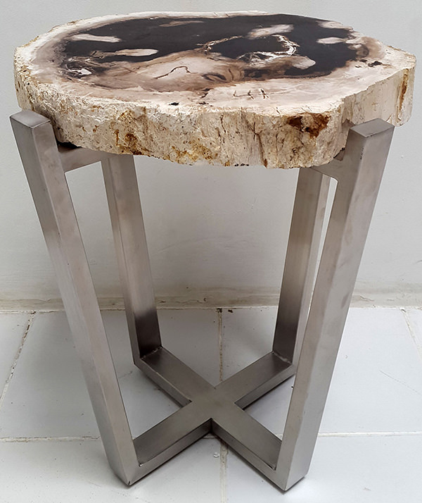 petrified wooden table