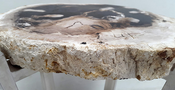 petrified wood texture