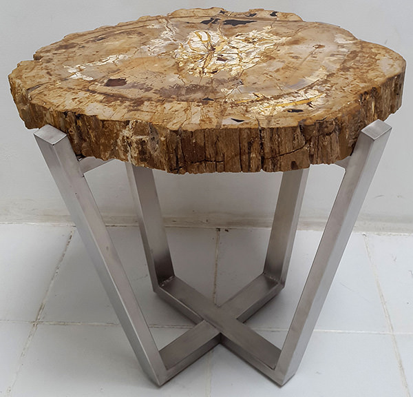 petrified wooden side table