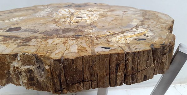 natural petrified wood furniture