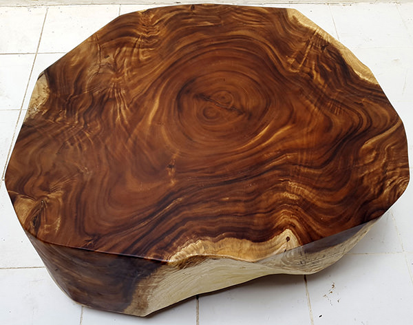 thick rain tree coffee table