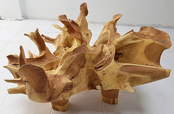 natural teak root table with organic shapes and color