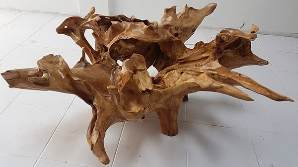 natural teak root dining table