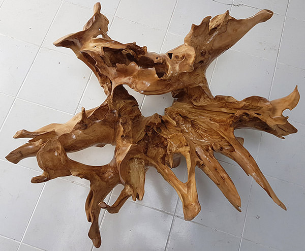 natural teak root coffee table