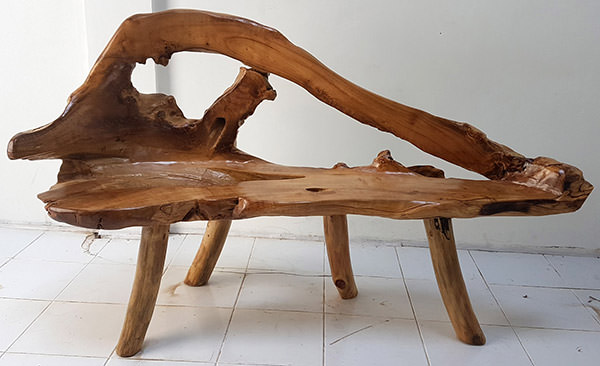 tree root bench