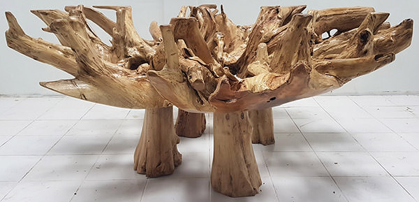 solid teak root coffee table