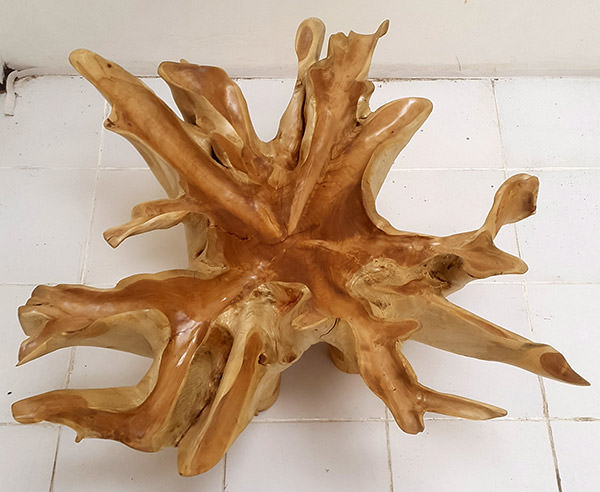 teak root coffee table