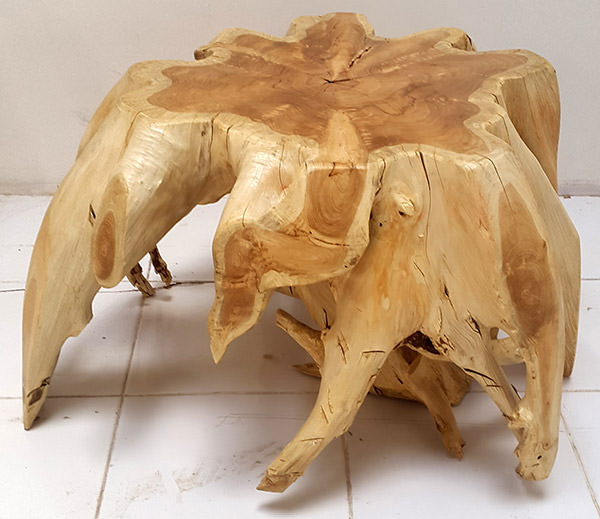 solid teak root table