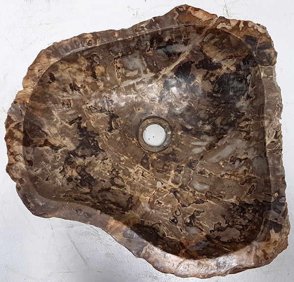 fossil stone