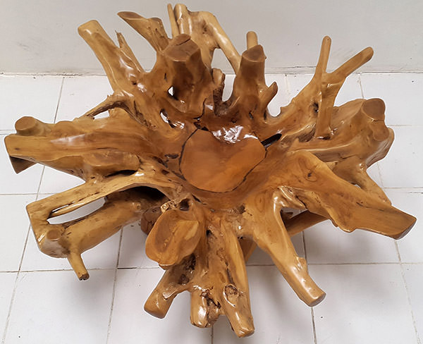 teakwood root