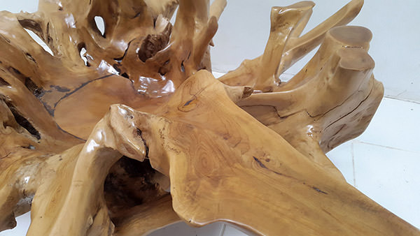 teak root coffee table with natural shapes