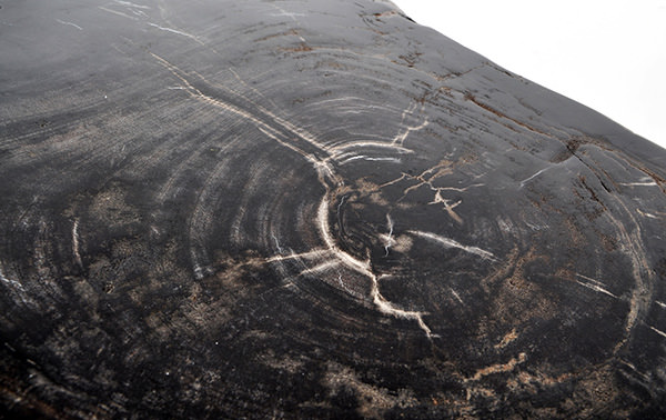 natural fossil side table top with crossed stainless steel silver legs