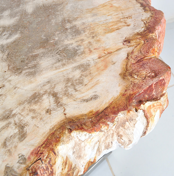 natural fossil side table