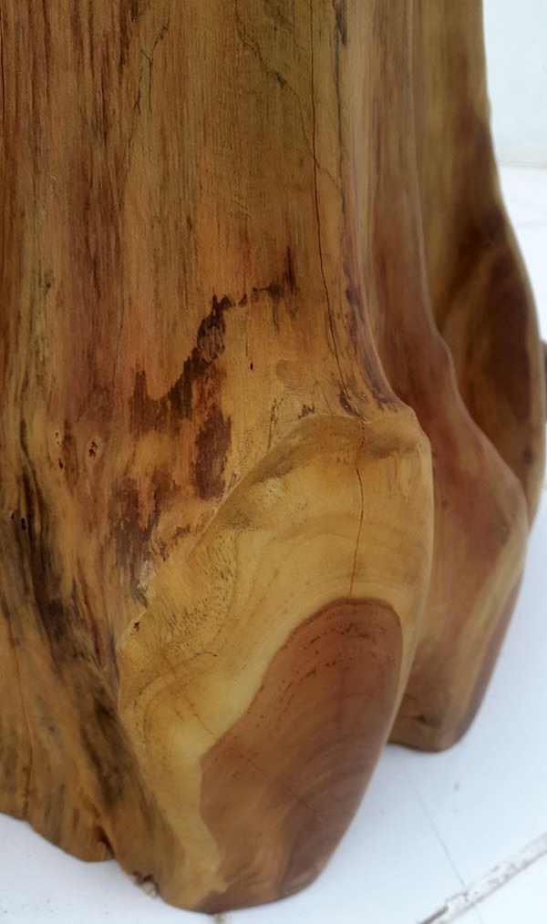 detail of a recycled teak root leg