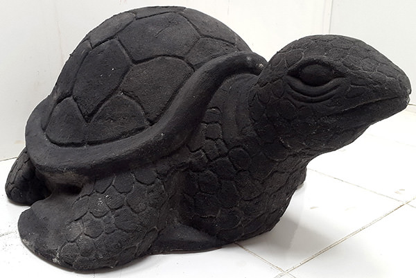 black stone turtle