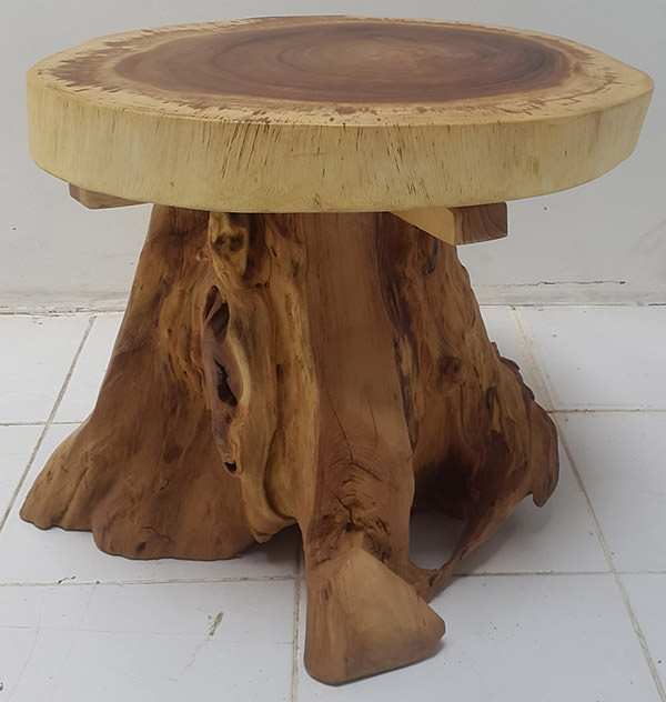 suar round coffee table with tree leg