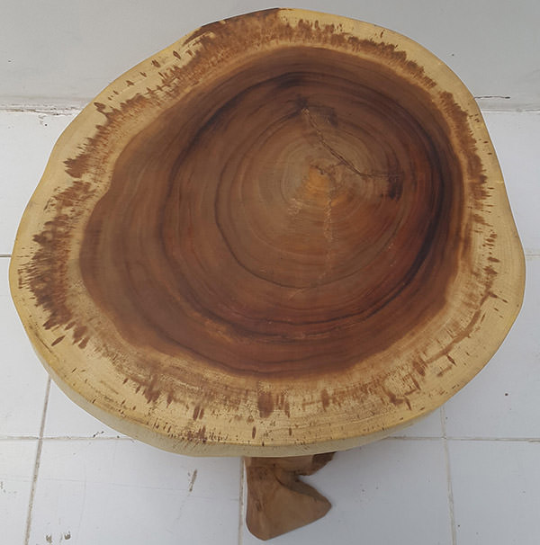 suar round coffee table with tree central leg