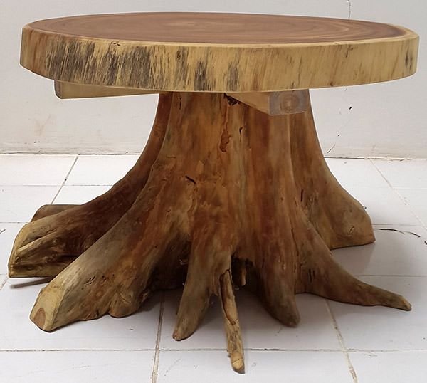 suar coffee table with tree leg