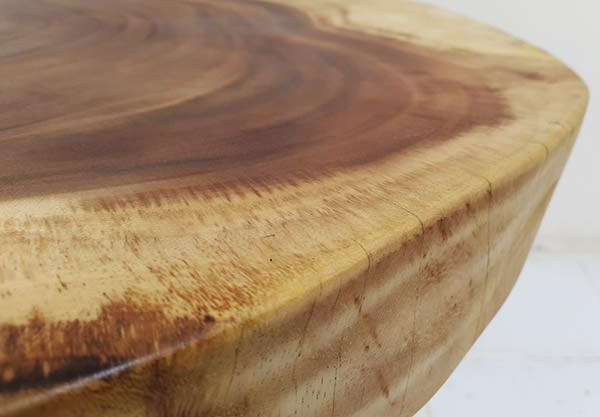 detail of a tree legs suar coffee table