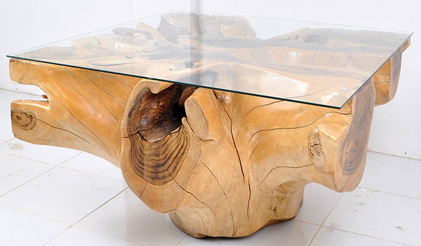 solid teak organic root coffee table