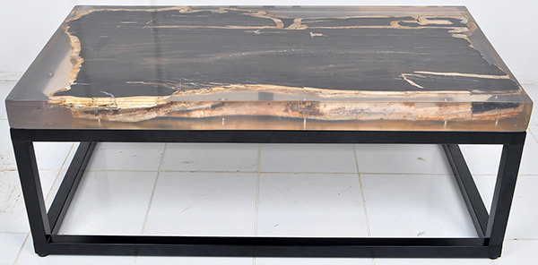fossil and resin coffee table top with iron legs