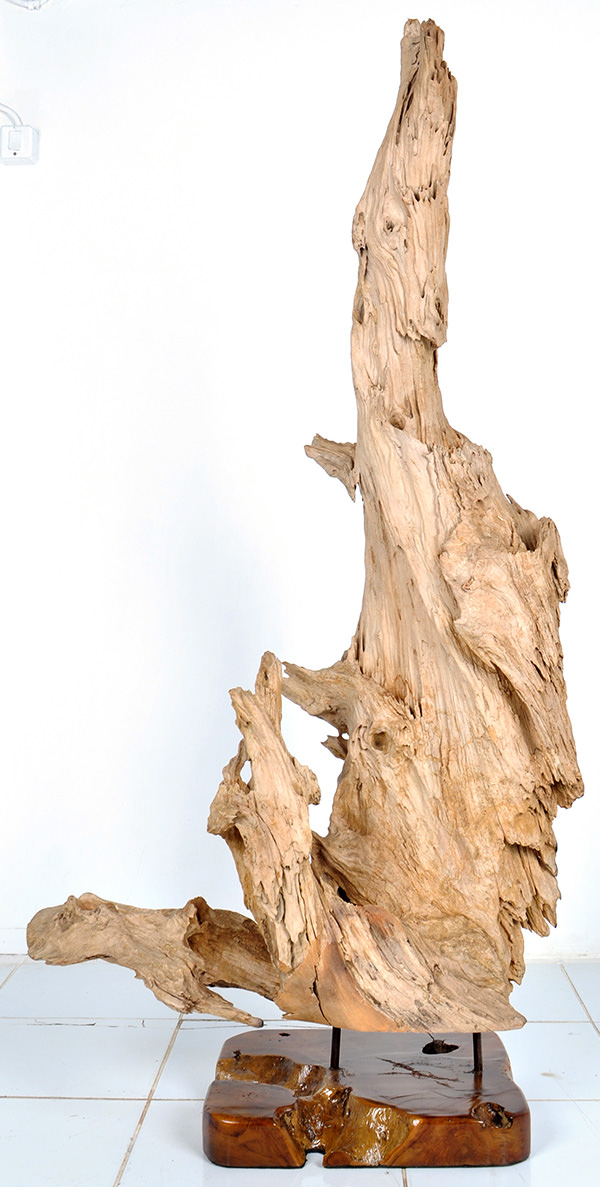 teak root standing deco