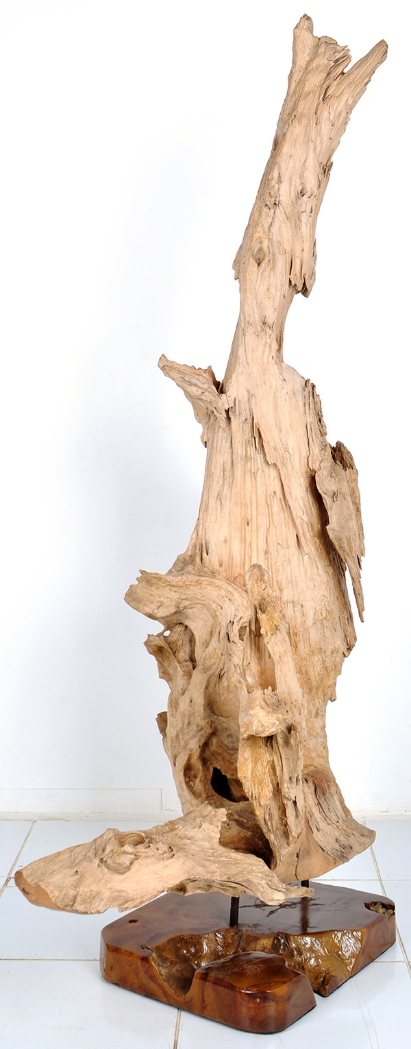 organic teak root standing deco