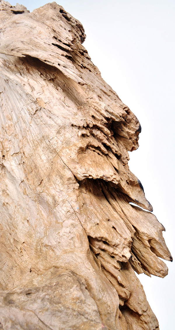 organic solid teak root standing deco