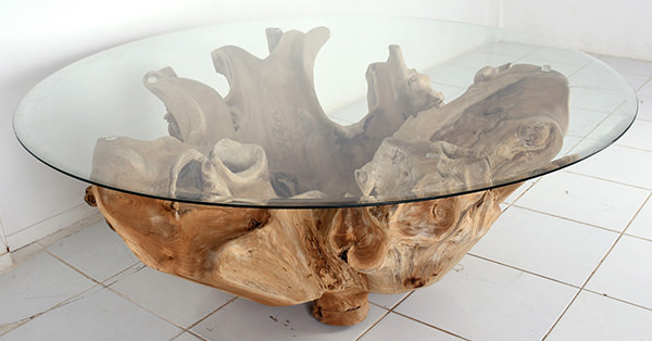 teak root table with glass top