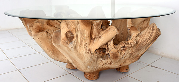 natural teak root table with glass top