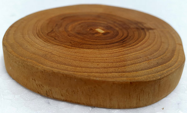 tree solid wooden slice