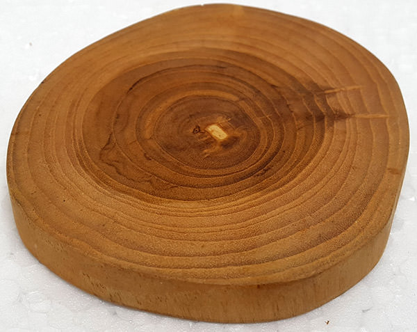 solid wood slice