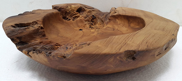 teak root plate