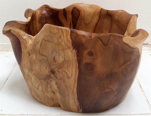 natural teak root pot