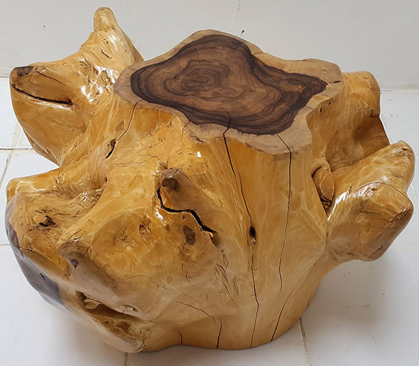 wooden coffee table with an root shape