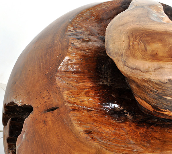 natural teak root ball