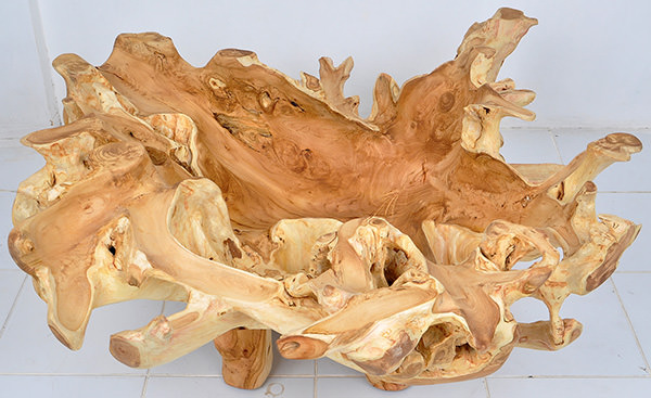 natural teak root table coffee table