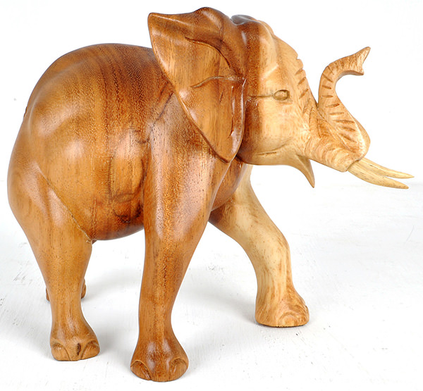 suar elephant